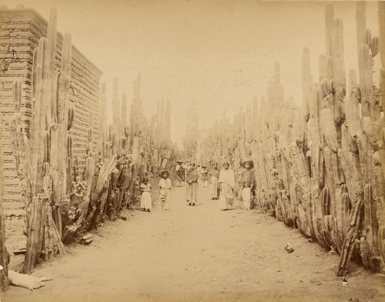 Mexico. Gade i landsbyen San Juan, delstaten Mexico. af Abel Briquet