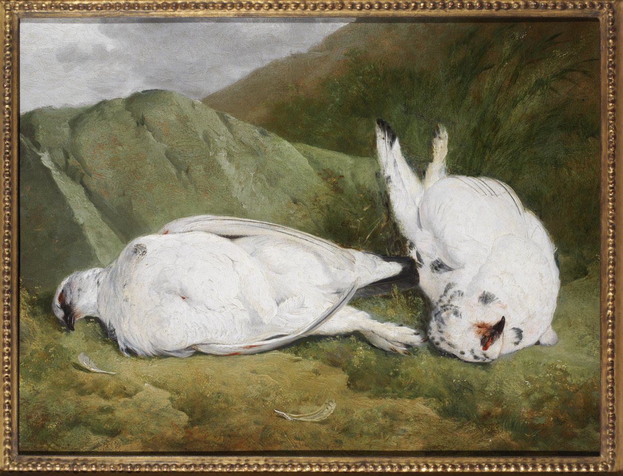 Ptarmigan af Abel Hold