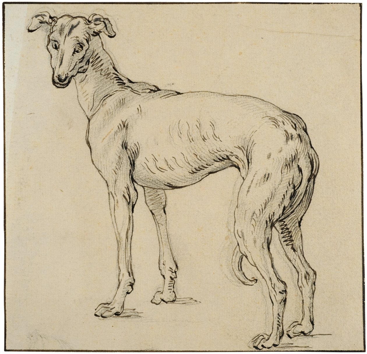 Greyhound af Abraham Bloemaert