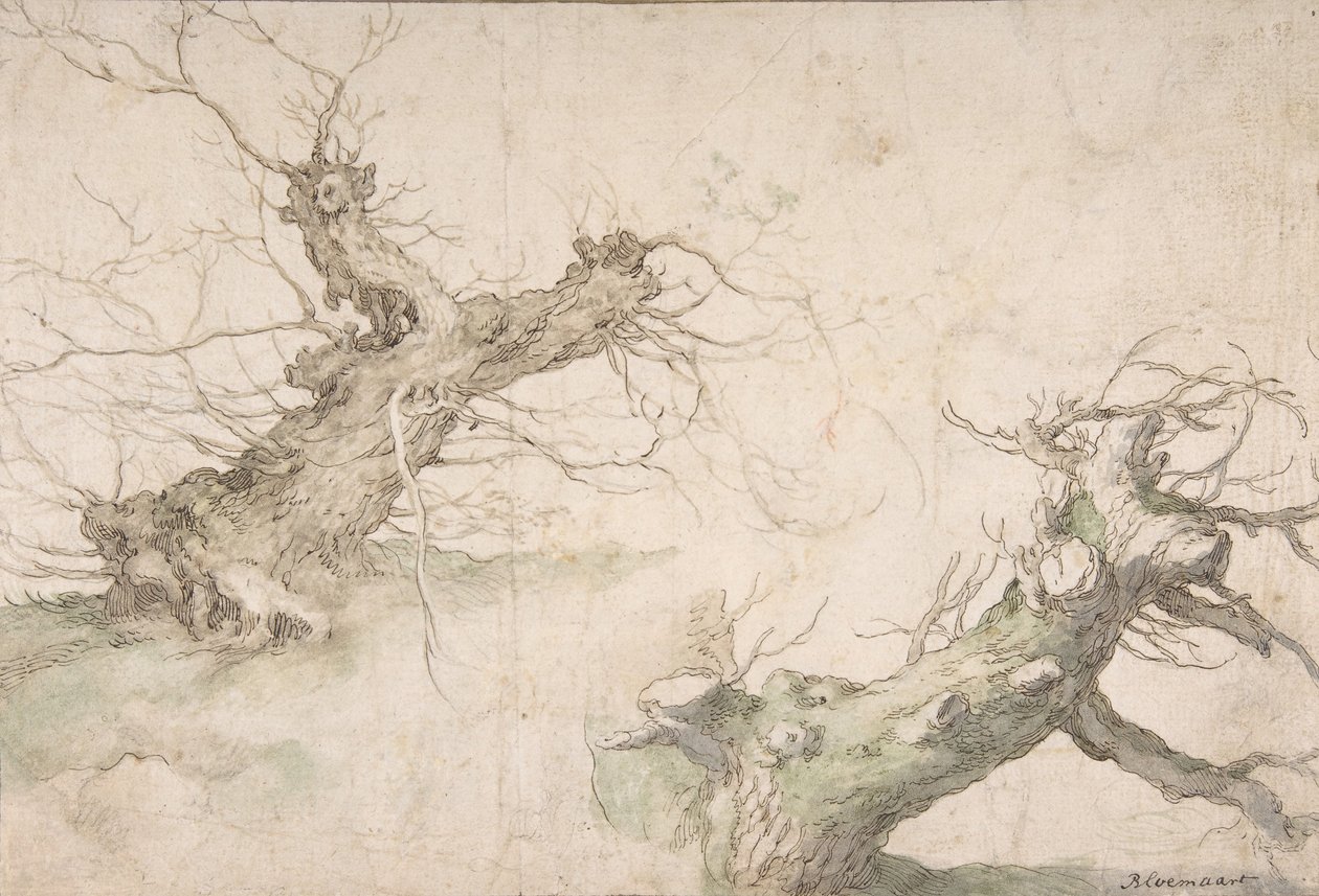 Studier af Two Pollard Willows, Verso: Wide Landscape Prospect, slutningen af det 16.-midten af det 17. århundrede. af Abraham Bloemaert