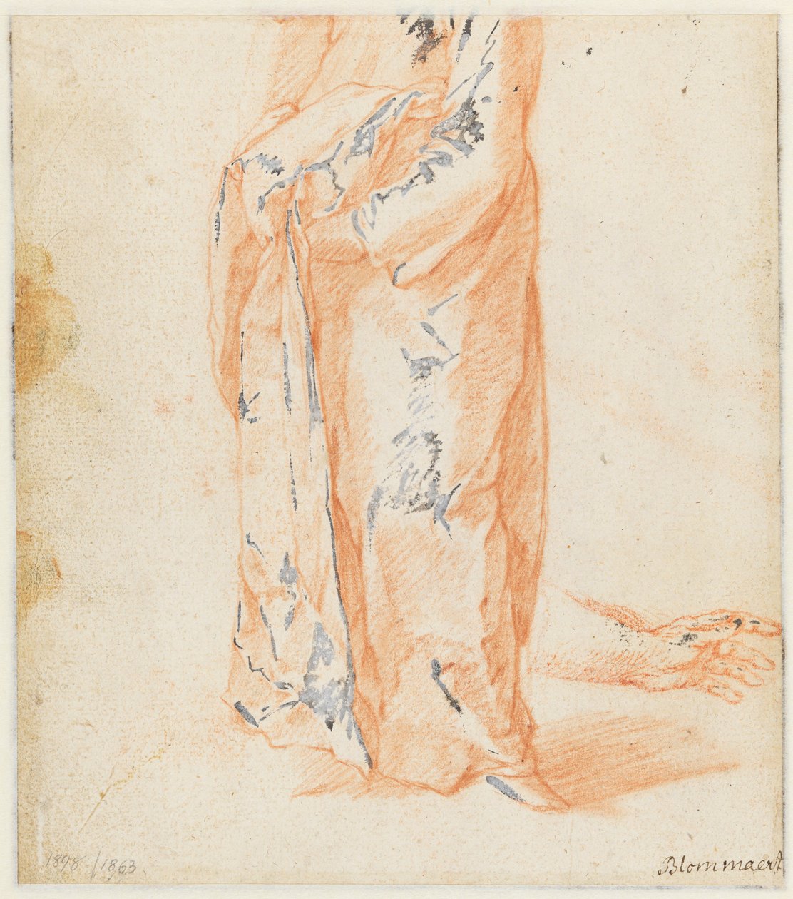 Studier af en ko af Abraham Bloemaert