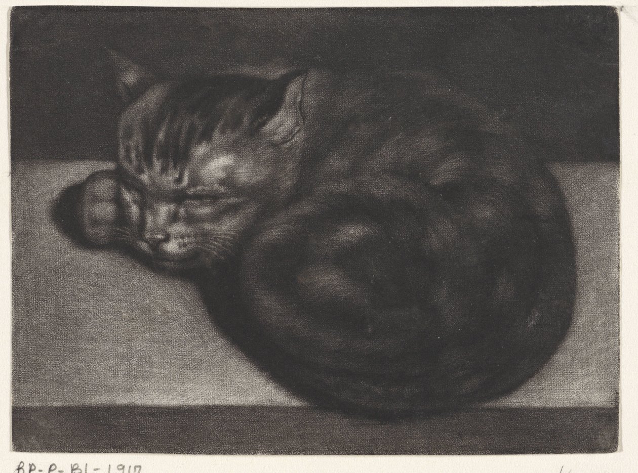 sovende kat af Abraham Bloteling