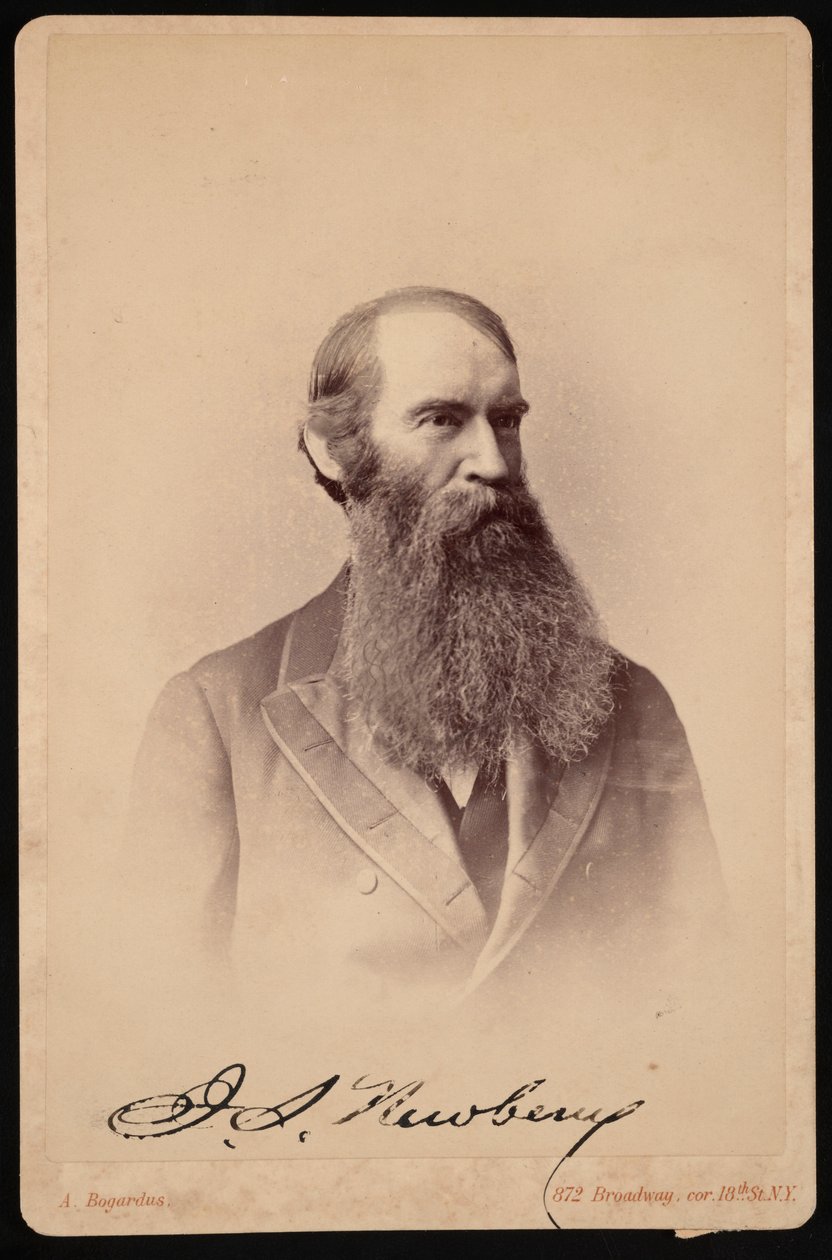 Portræt af John Strong Newberry 1822-1892, mellem 1876 og 1887. af Abraham Bogardus