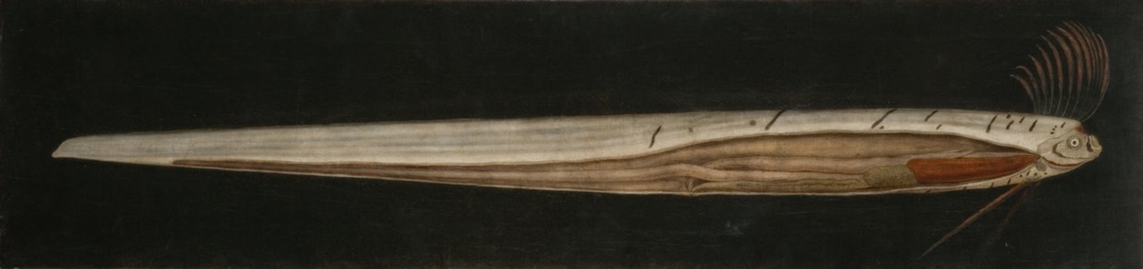  af Abraham Bruiningh van Worrell