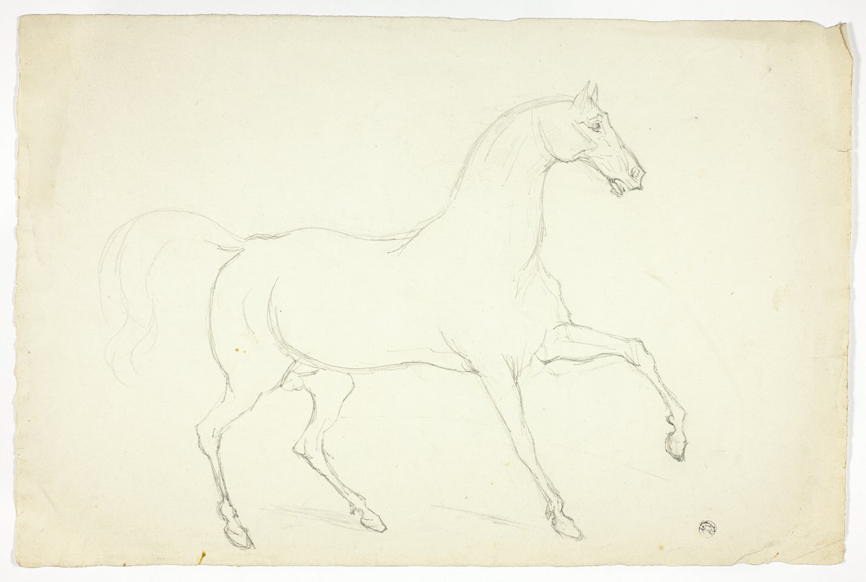 Hingst af Abraham Cooper