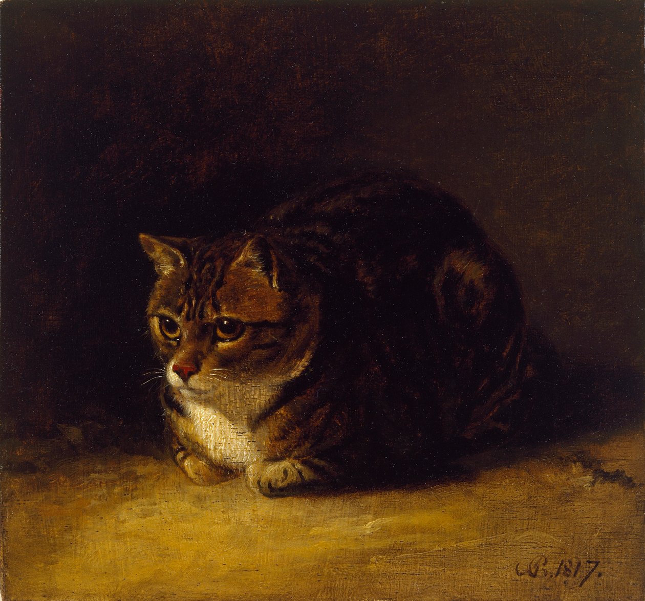 Studie af en kat, 1817 af Abraham Cooper