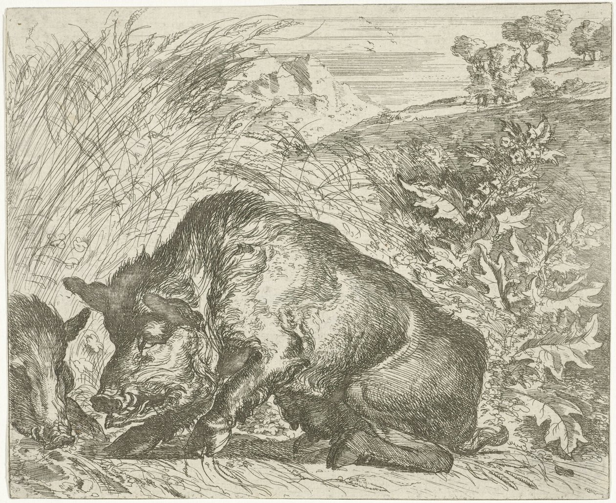 Vildsvin Forskellige dyr (serietitel) af Abraham Danielsz. Hondius