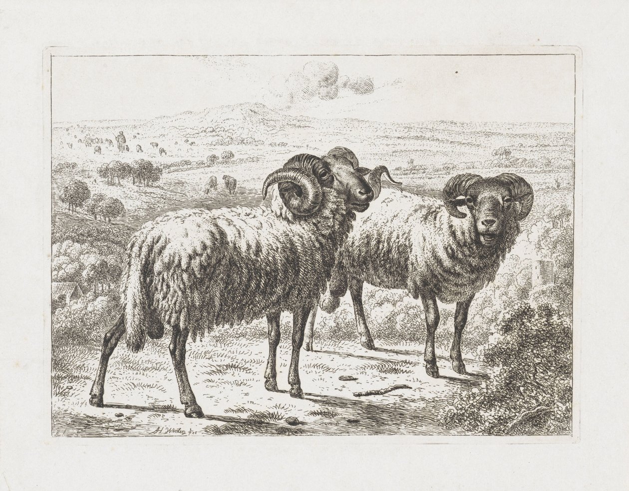 To væddere af Abraham Hendrik Winter