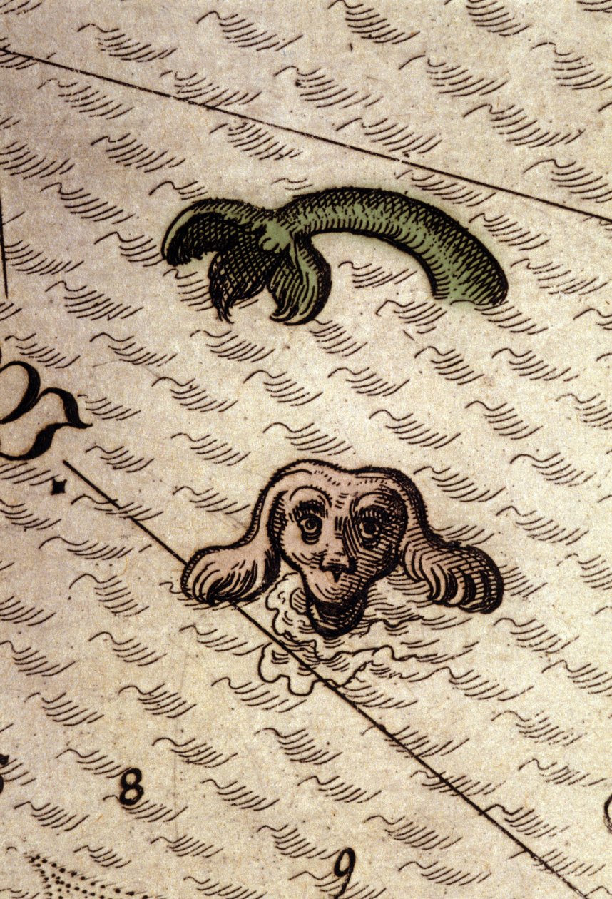 Et havmonster har et hundehoved og en fiskekrop. Detalje af et kort i "Theatrum Orbis Terrarum" af Abraham Ortelius, Antwerpen 1584. af Abraham Ortelius