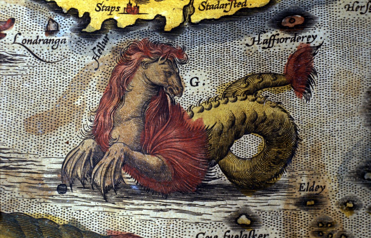 repræsentation af et havmonster mi hest mi søslange. Tallerken fra en udgave af "Theatrum Orbis Terrarum" af kartografen Abraham Ortelius (1527-1598) af Abraham Ortelius
