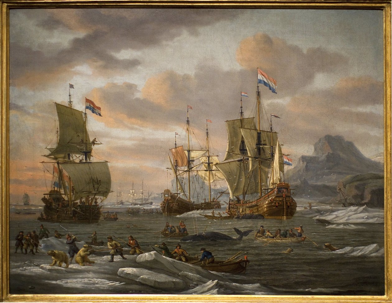 Hval- og isbjørnefiskeri på Spitzberg Island (Arctic Ocean) med fartøjer fra den hollandske flåde. Maleri af Abraham Storck (eller Sturckenbuch af Abraham Storck