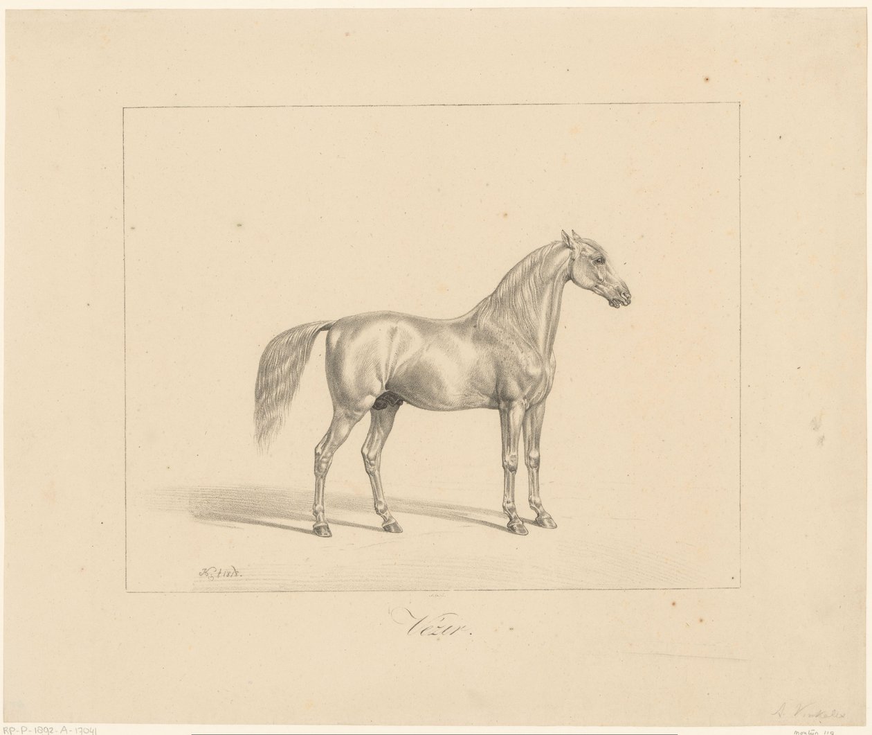 Arabisk hingst Vezir (titel på objekt) af Abraham Vinkeles