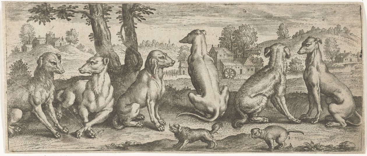 hunde Dyr (serietitel) af Abraham de Bruyn (possibly)