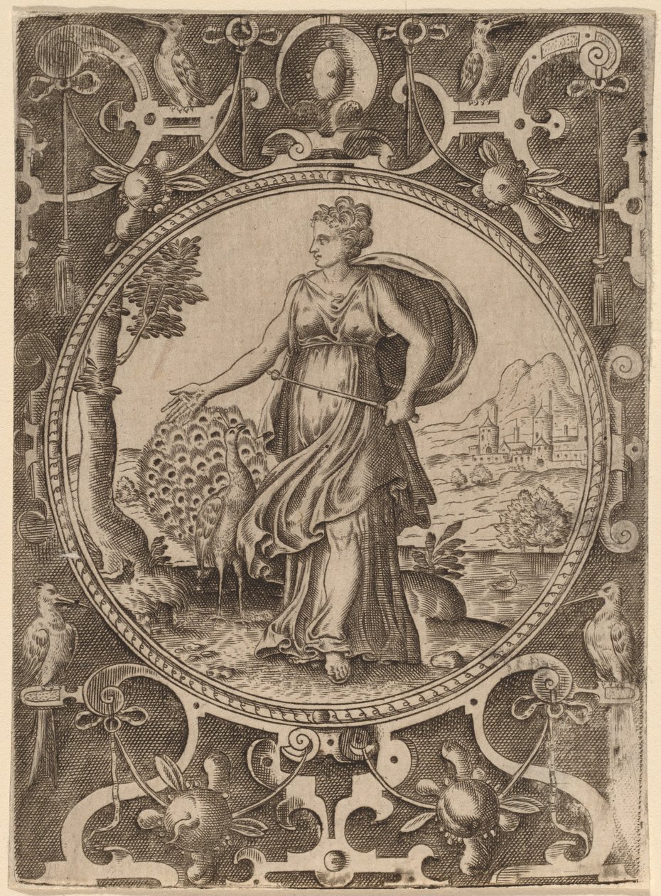 Juno af Abraham de Bruyn