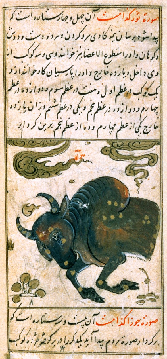 Stjernebilleder af stjernetegn: Tyren, Tyren, fra Talim dar marifat i taqvuim, 1498 (903 Hijra) af Abu Jafar al Tabari