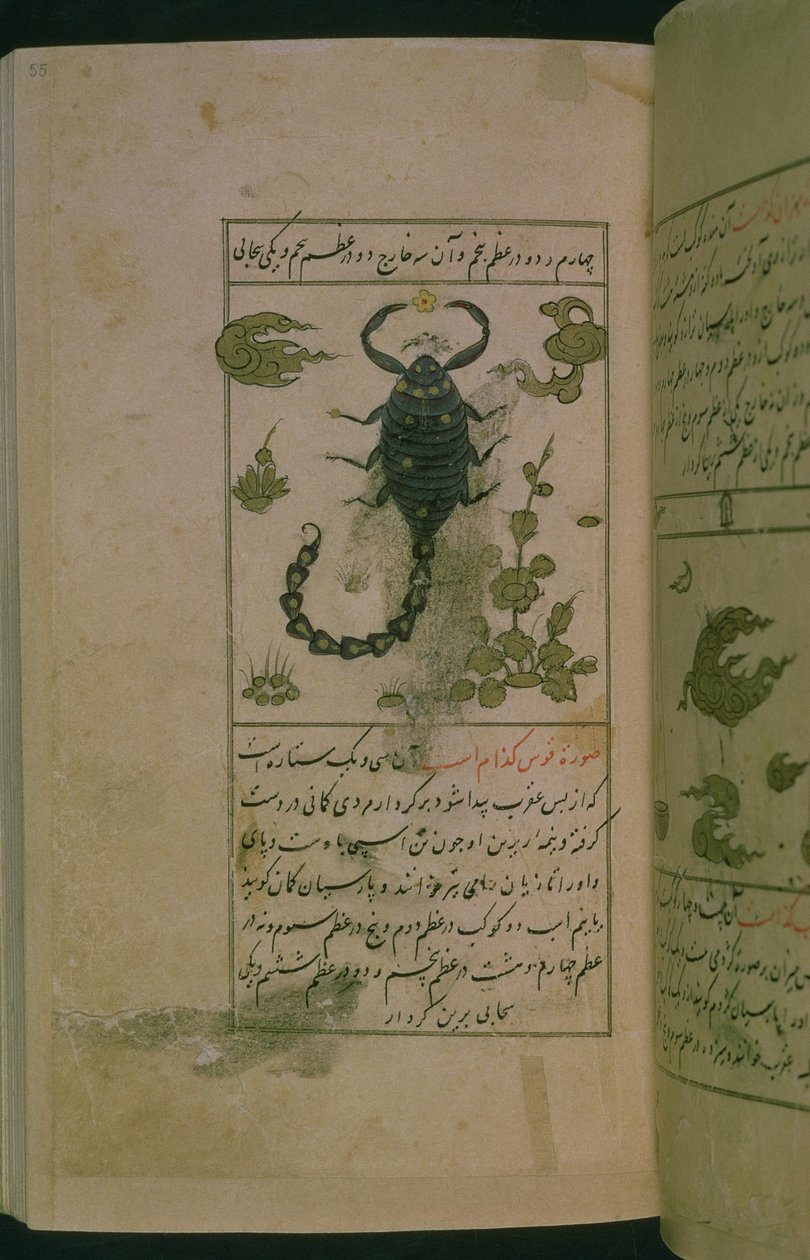 Stjernebilleder af stjernetegn: Skorpionen, Skorpionen, fra Talim dar marifat i taqvim, 1498 (903 Hijra) (blæk) af Abu Jafar al Tabari
