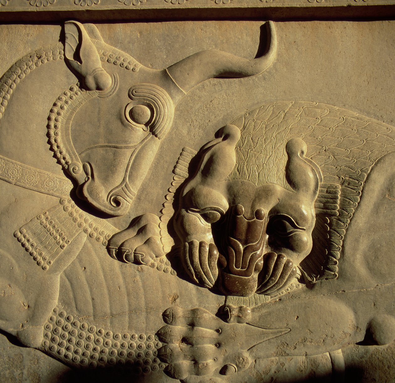 En glubsk løve angriber en tyr, relief fra den nordlige trappefacade på Tripylon, 500-480 f.Kr. af Achaemenid
