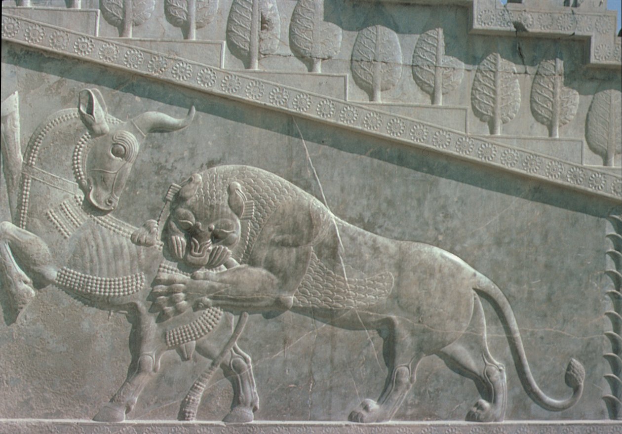 Relief på den østlige trappe af Apadana (publikumssalen) forestillende en løve, der kæmper mod en tyr, Achaemenian periode, ca. 515 f.Kr. (kalksten) af Achaemenid