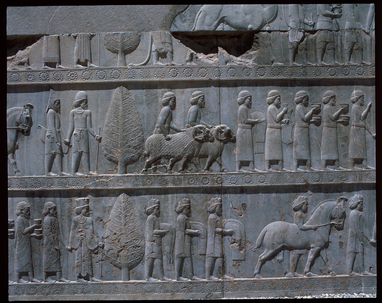 Udsigt over relieffer af østtrapper af Achaemenid