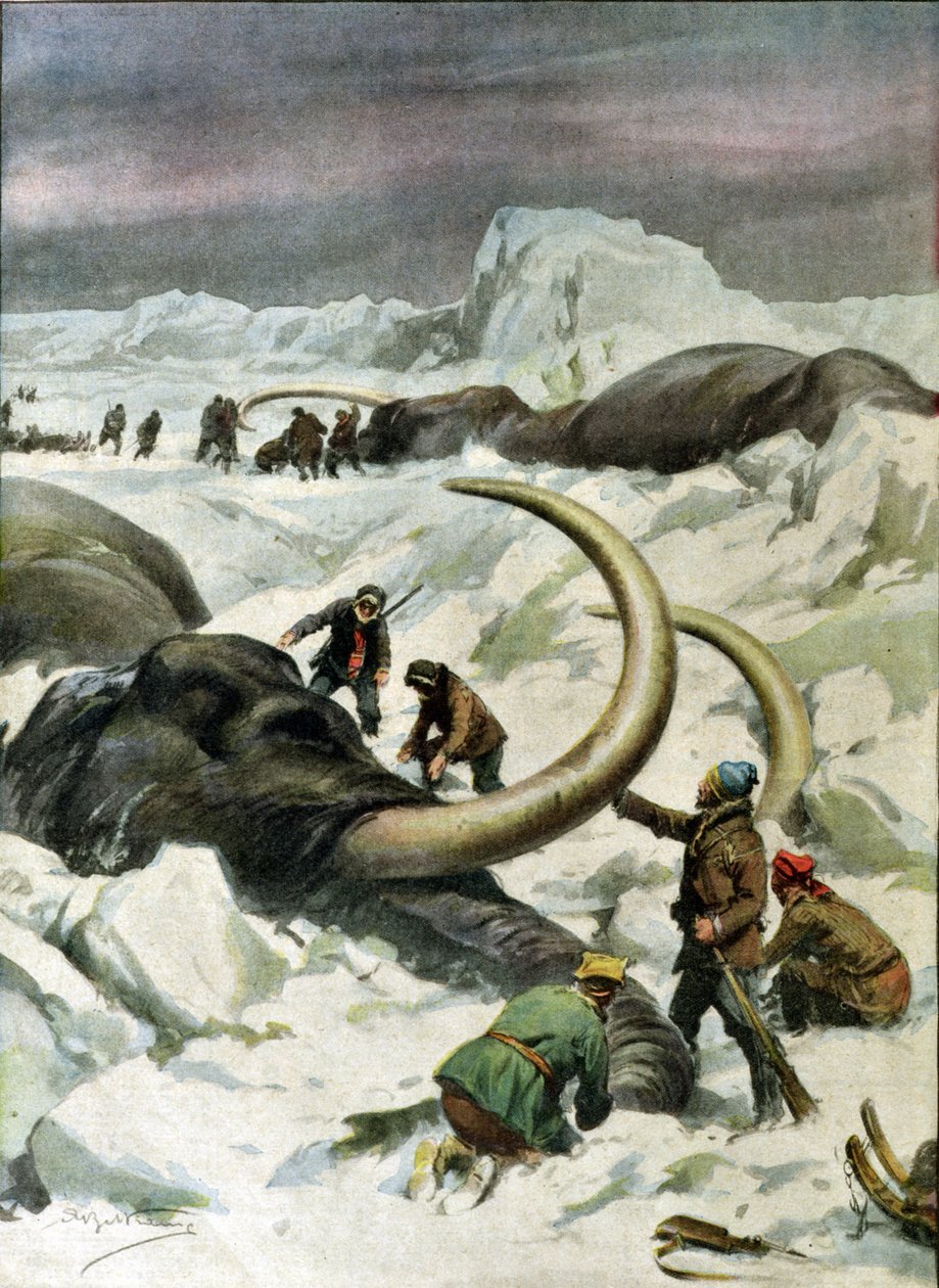 Opdagelse af frosne mammutter i Sibirien, illustration fra "Corriere della Sera", 9. december 1934 af Achille Beltrame