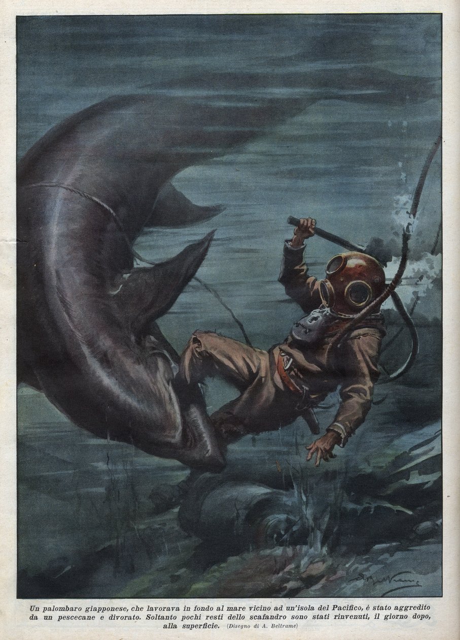 En japansk dykker med en scaphandler blev fortæret af en haj i Stillehavet. Illustration af Achille Beltrame fra "La domenica del corriere"" af 08/08/1937. af Achille Beltrame