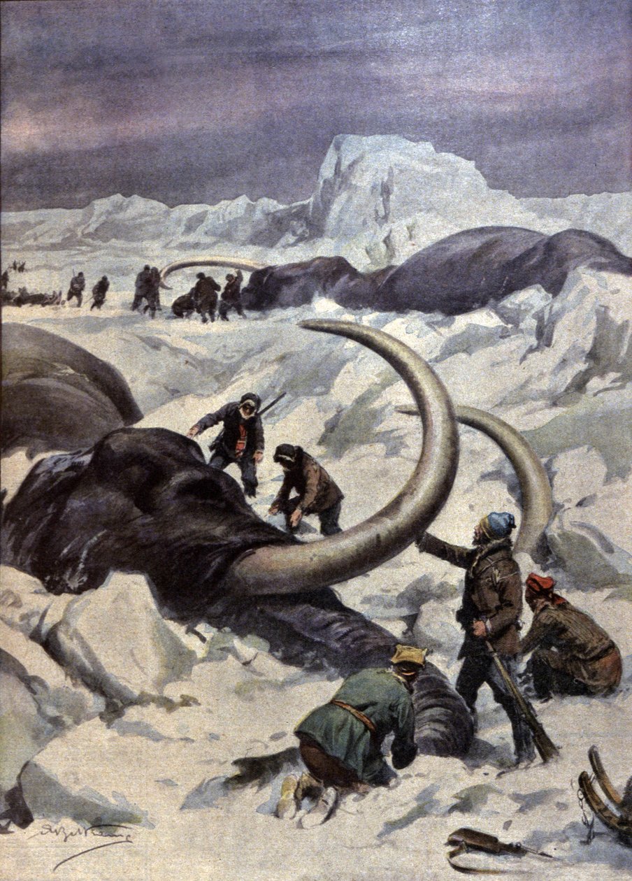 Mammutter på Nordpolen af Achille Beltrame