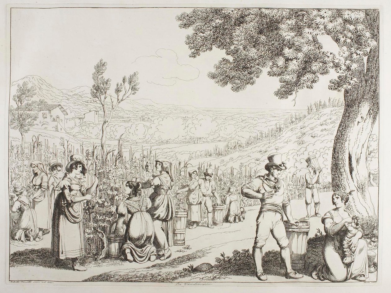 Vinhøsten af Achille Pinelli