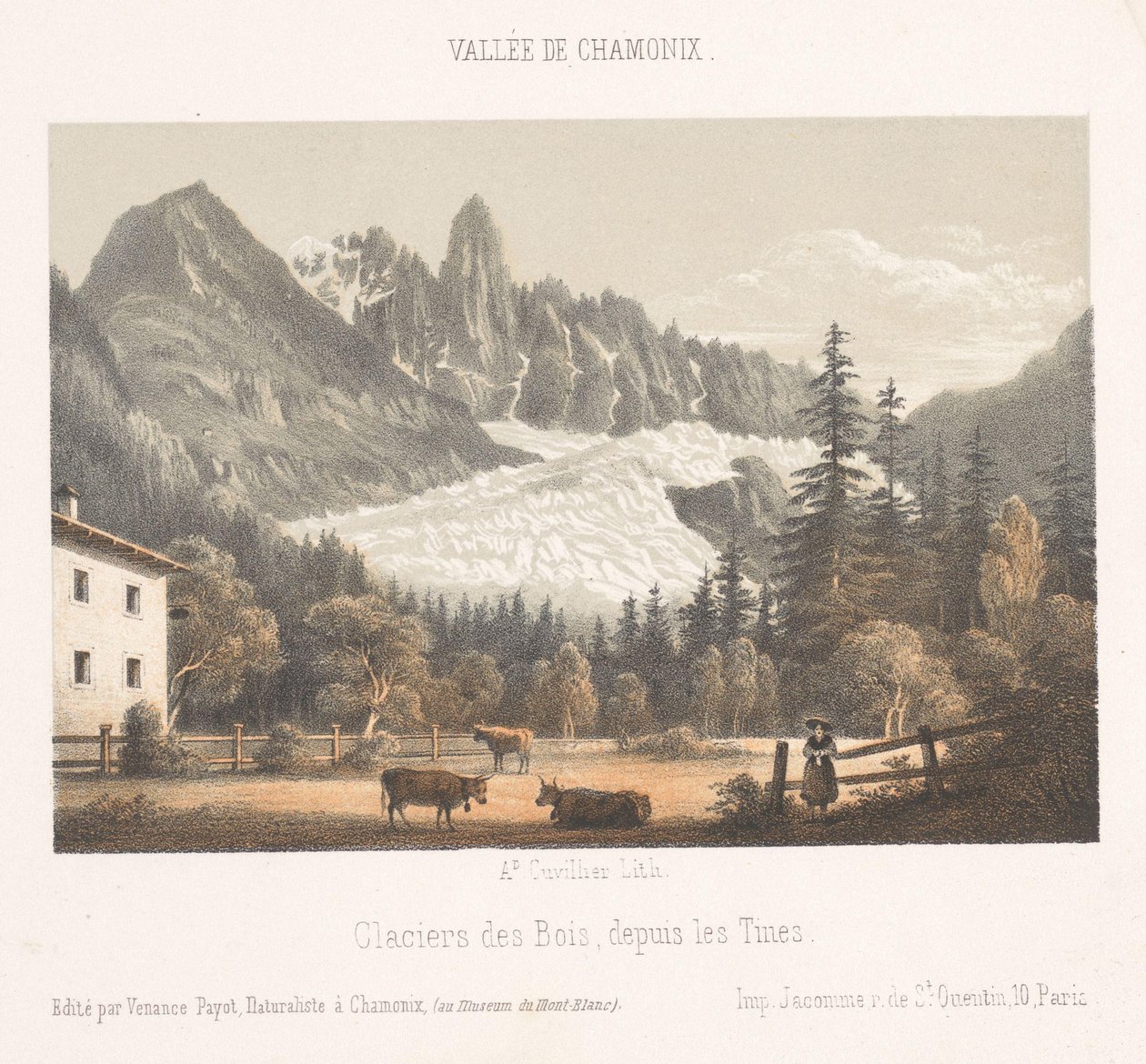 Udsigt over Chamonix og Mont Blanc fra nord Chamonix et le Mont Blanc. Côte du Nord (titel på objekt) Memory of Chamonix-Mont-Blanc (serietitel) Museum du Mont Blanc (serietitel) af Ad. Cuvillier