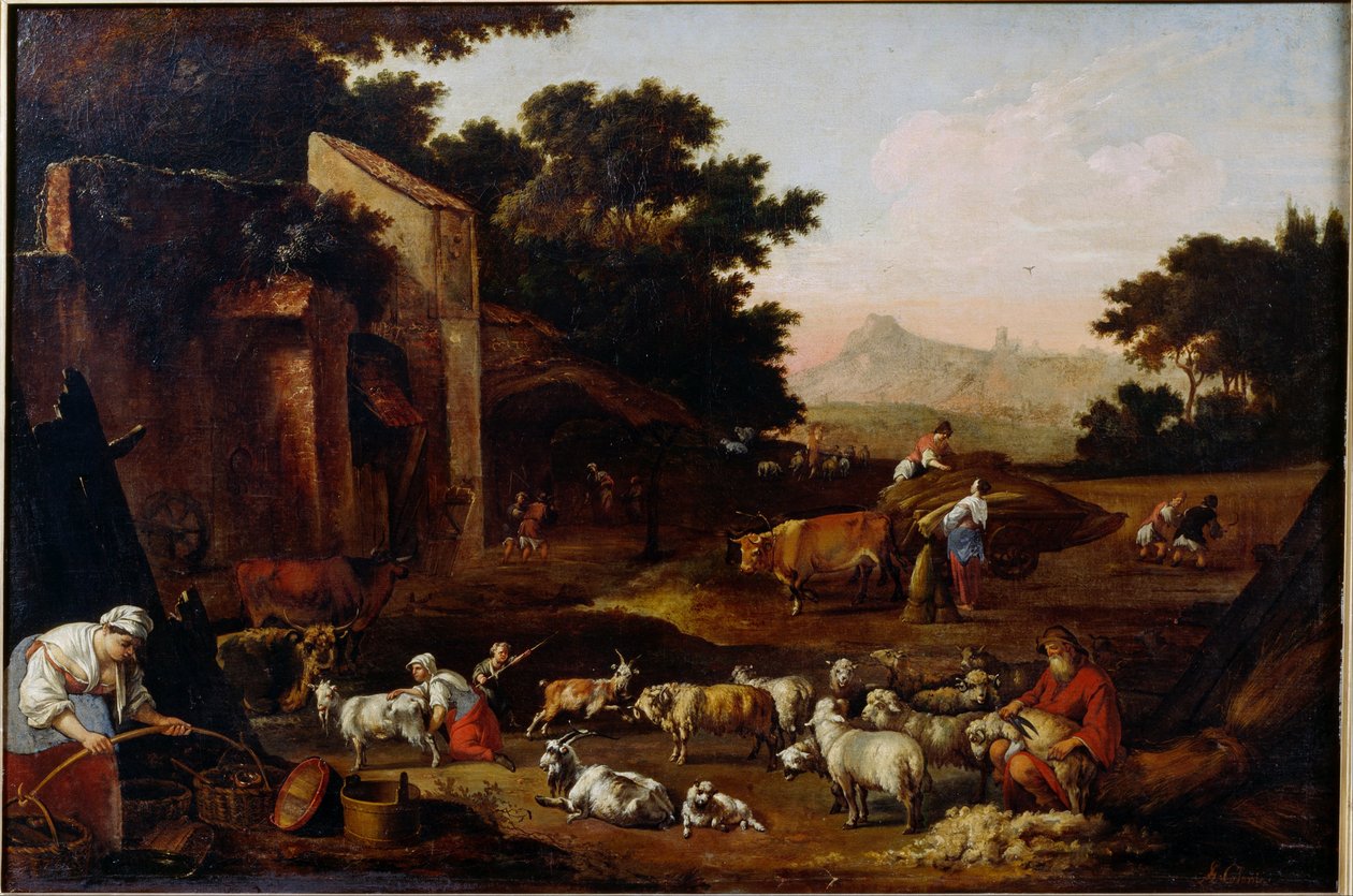 Fårklipning af Adam Colonia
