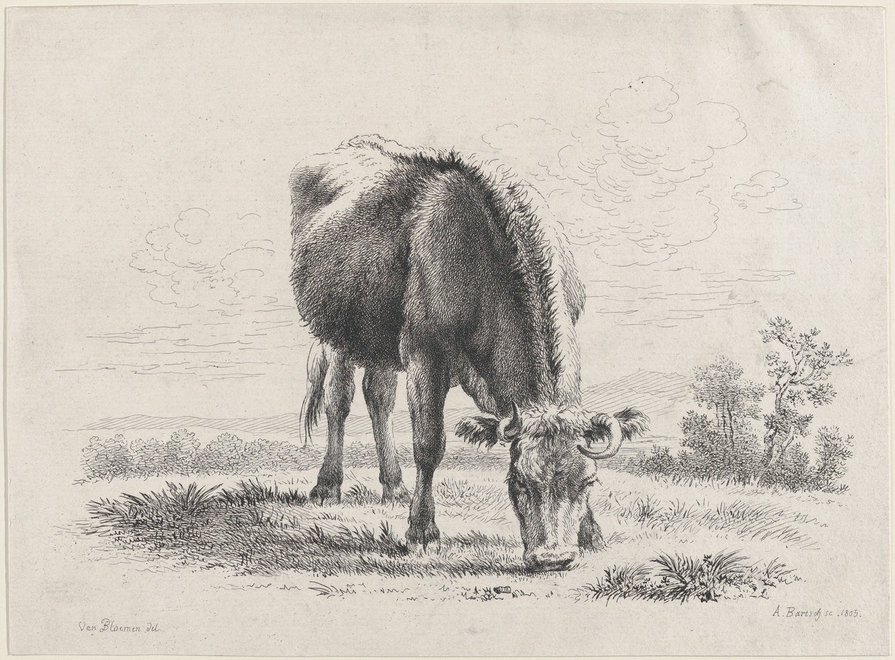 Kogræsning, 1805., 1805. af Adam von Bartsch