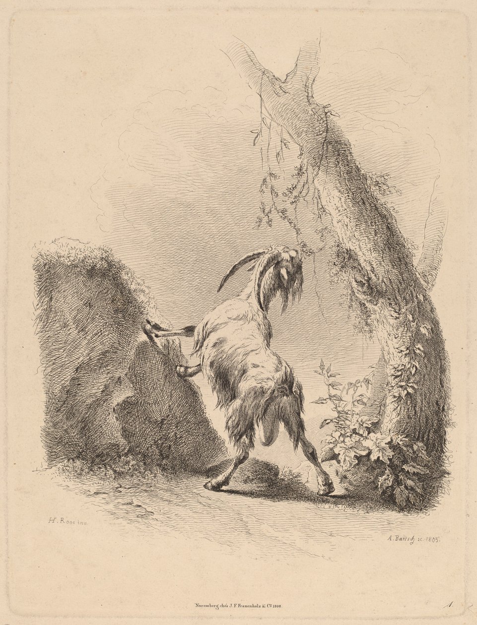 Ged i et landskab, 1805. af Adam von Bartsch