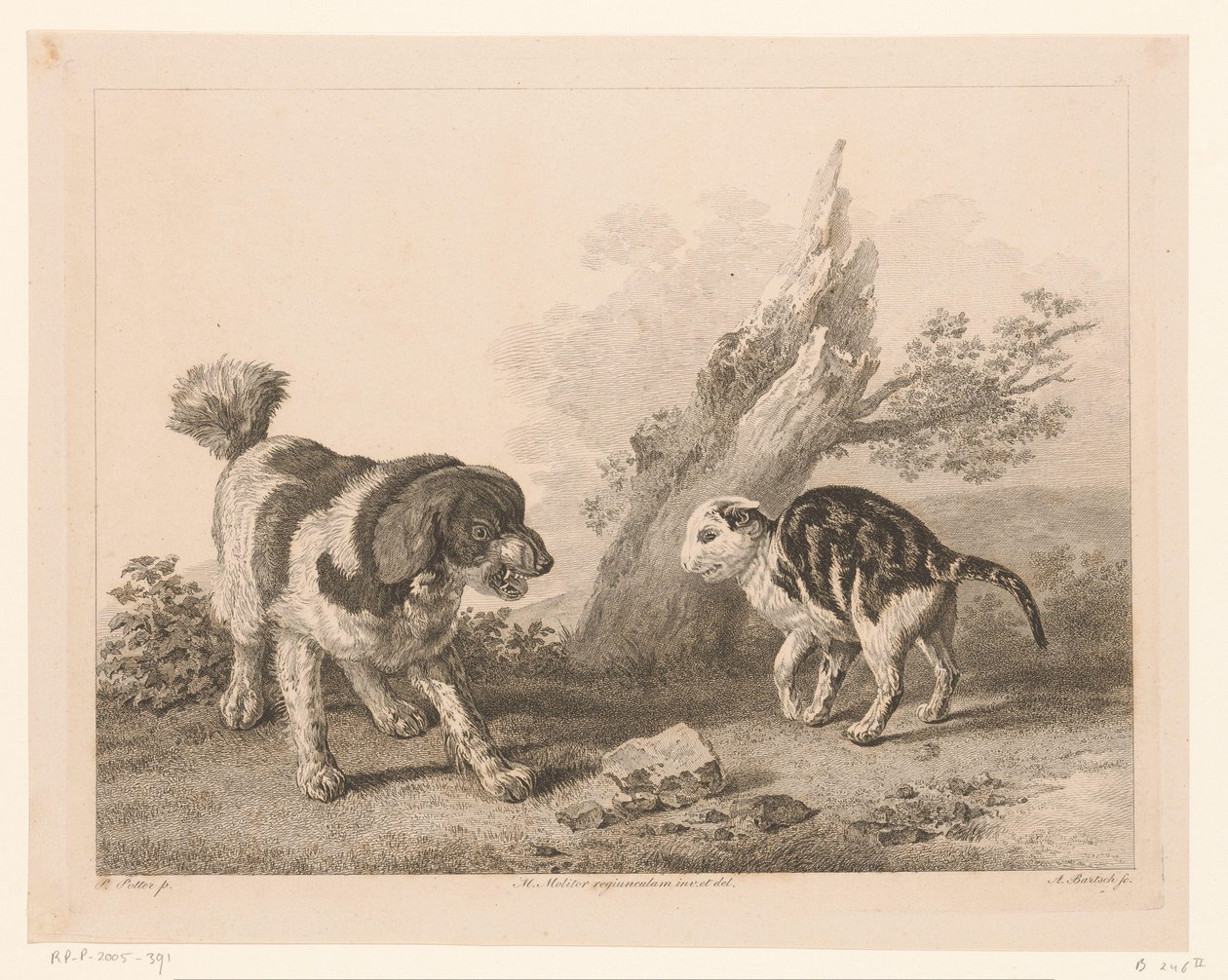 Hund og kat i kampstilling mod hinanden Dyr efter malerier af hollandske mestre (serietitel) Différens animaux graves d