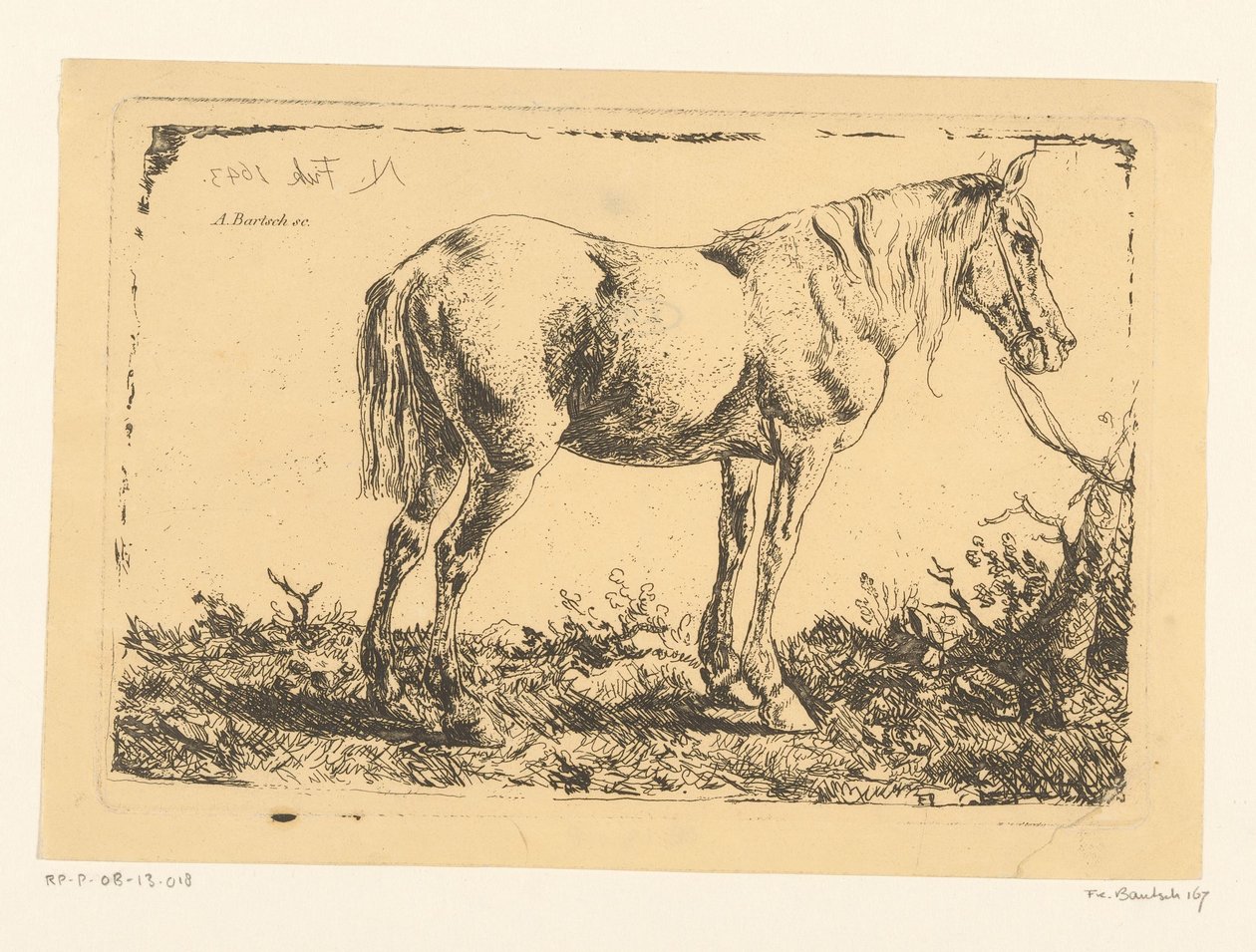 Hest på et træ af Adam von Bartsch