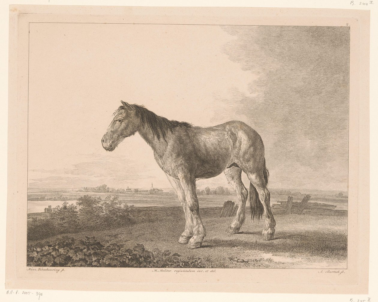Stående hest i et flodlandskab Dyr efter malerier af hollandske mestre (serietitel) Différens animaux graves d