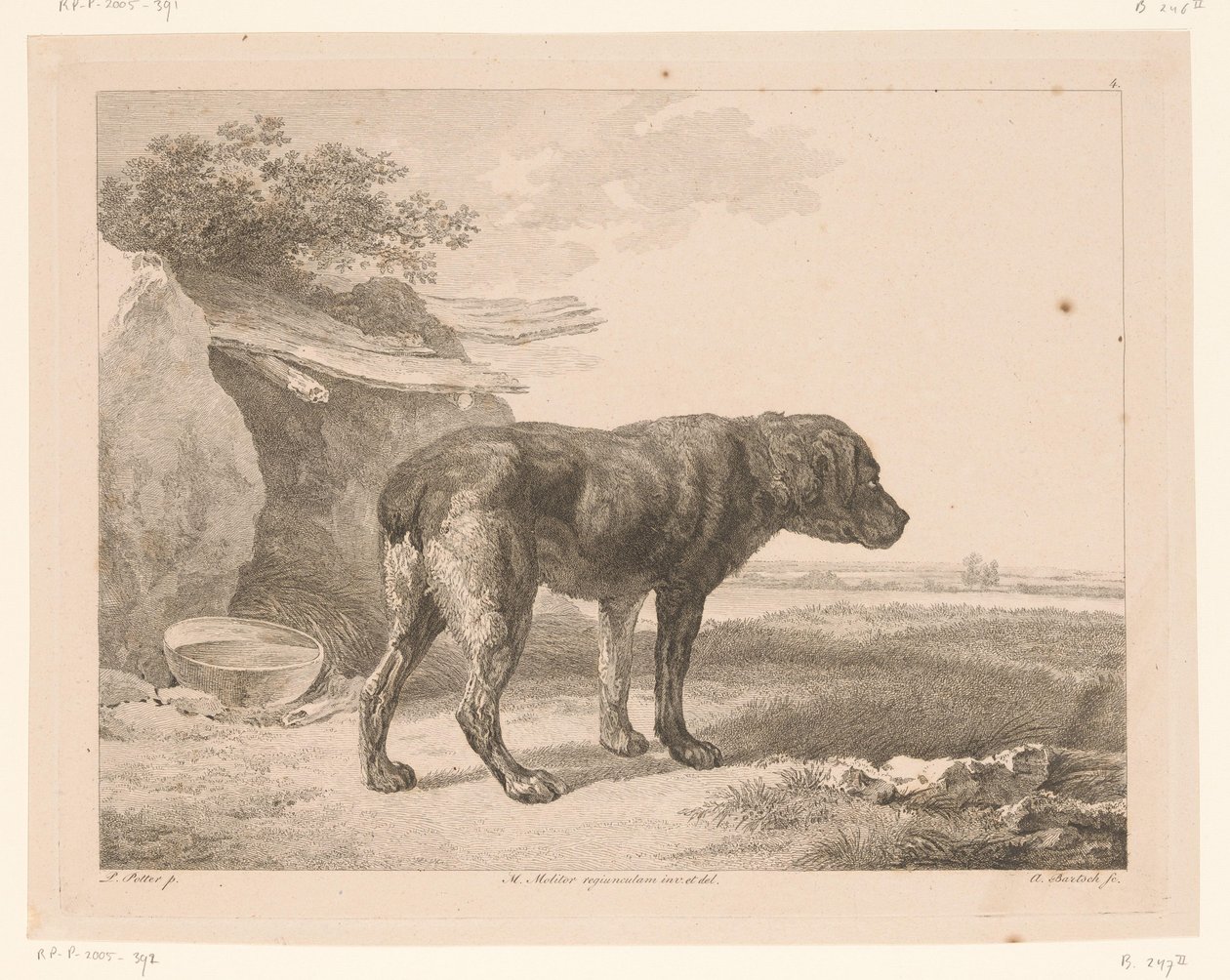 Stående hund i et landskab Dyr efter malerier af hollandske mestre (serietitel) Différens animaux graves d