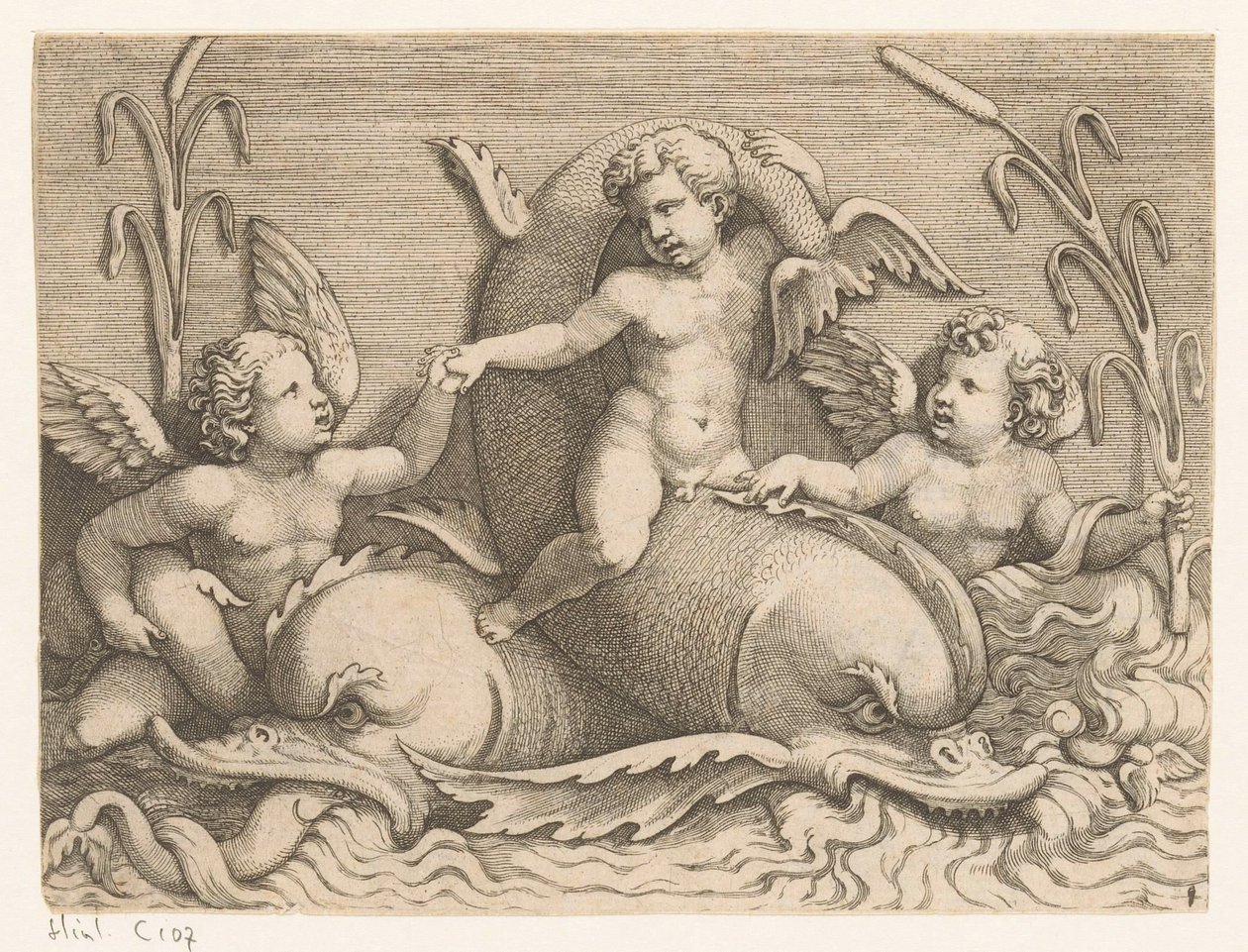 Tre putti med delfiner af Adamo Scultori