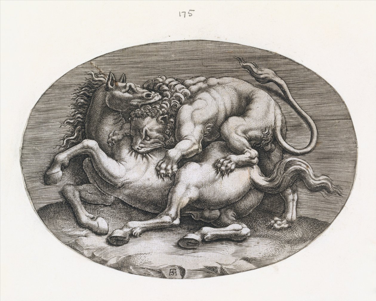 Mirror of Roman Magnificence: Lion Attacking a Horse, c1540-80. af Adamo Scultori