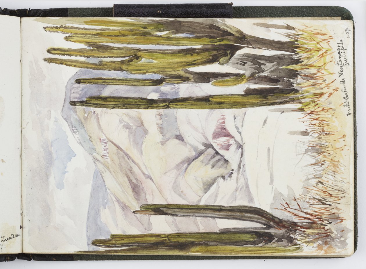 Skitsebog med akvareller, tegninger og noter, Mexico, 1896-1898 (akvarel) af Adela Breton