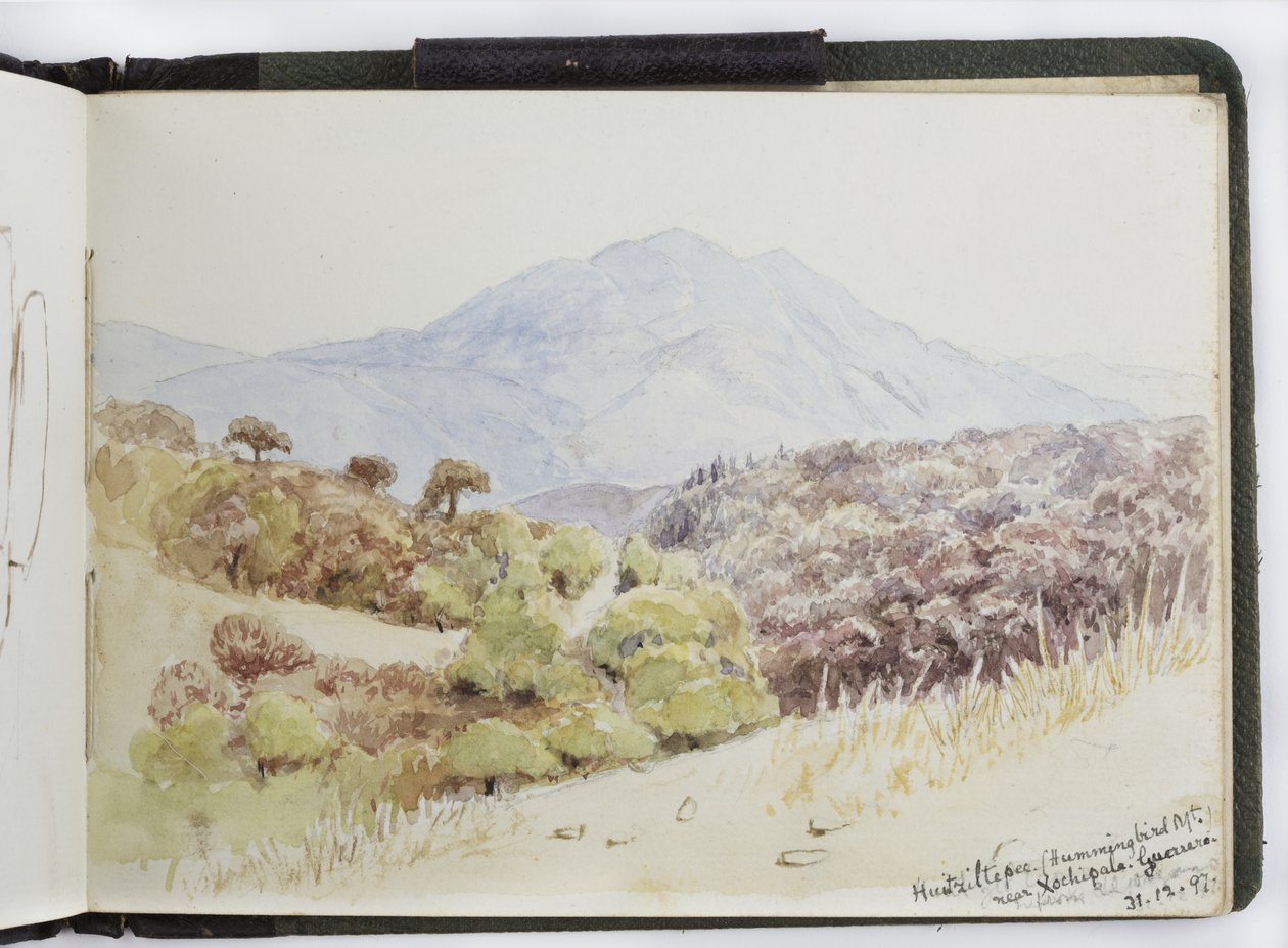 Skitsebog med akvareller, tegninger og noter, Mexico, 1896-1898 (akvarel) af Adela Breton
