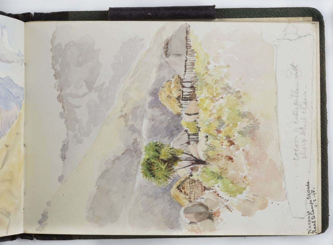 Skitsebog med akvareller, tegninger og noter, Mexico, 1896-1898 (akvarel) af Adela Breton