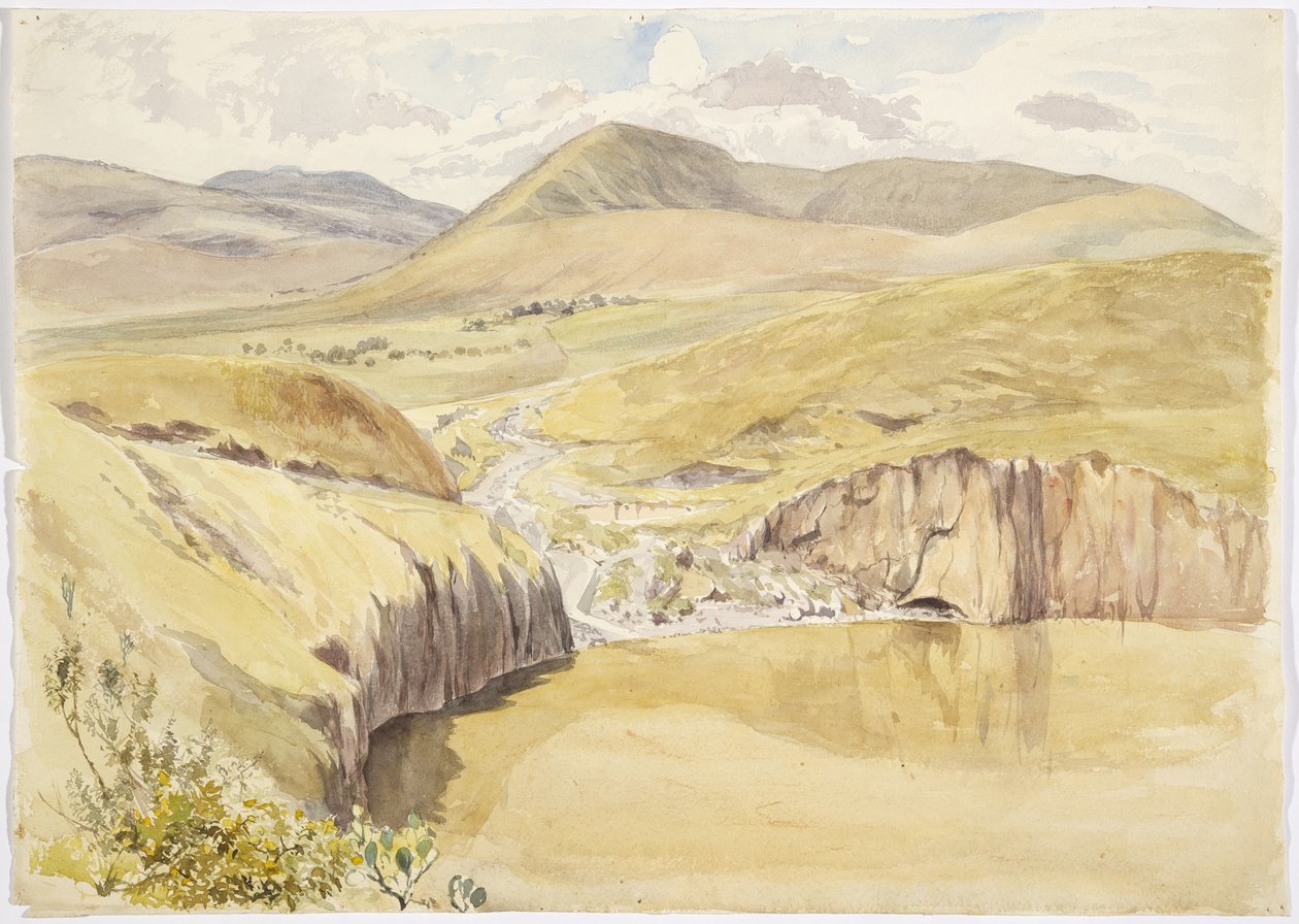 Alberea, nær Santiago del Valle, Guanajuato, Mexico (akvarel) af Adela Breton