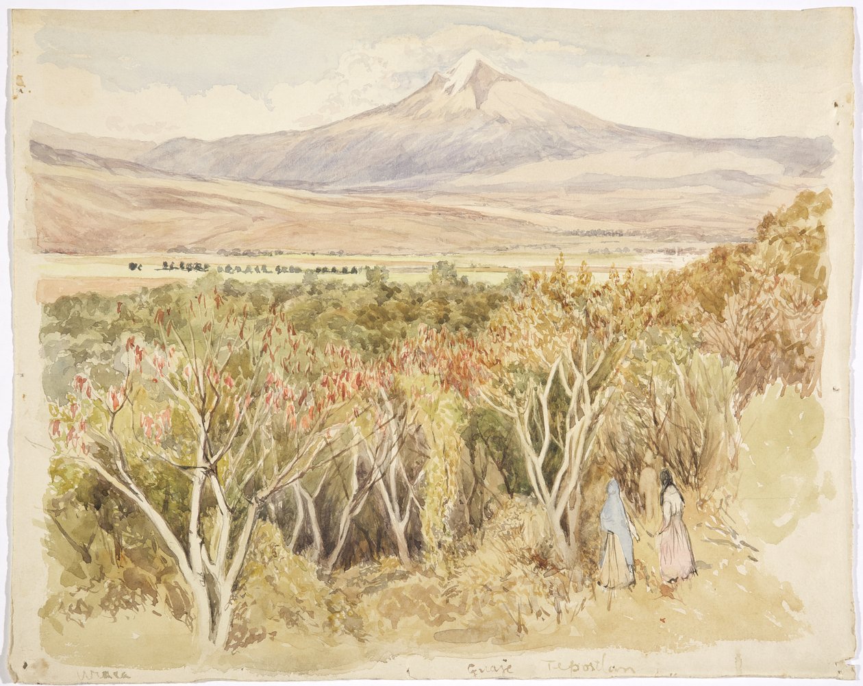 Vulkanen Popocatépetl fra Yautepec, Morelos State, Mexico (akvarel og grafit) af Adela Breton