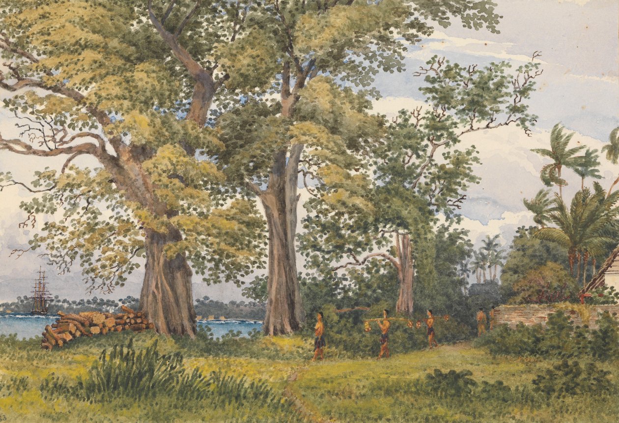 "Apia Bay, Upolu, Navigators Islands, [Samoa] fra verandaen i min sygestue, 6. november 1849 af Admiral Sir Edward Gennys Fanshawe