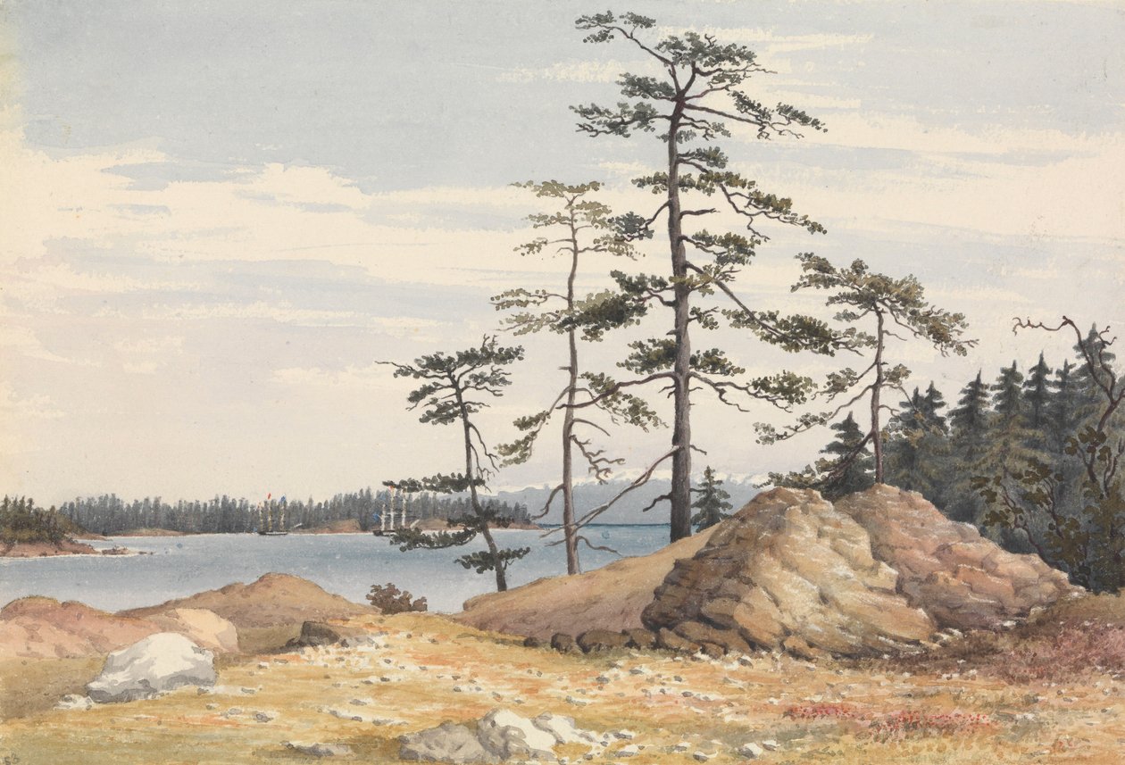 "Esquimalt Harbour, Vancouver