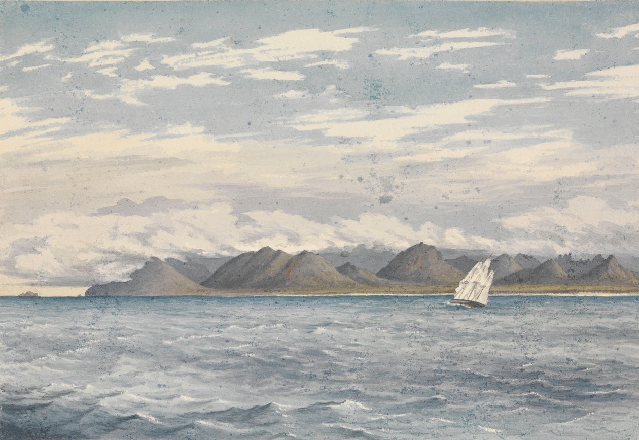 "Woody Point, Vancouver