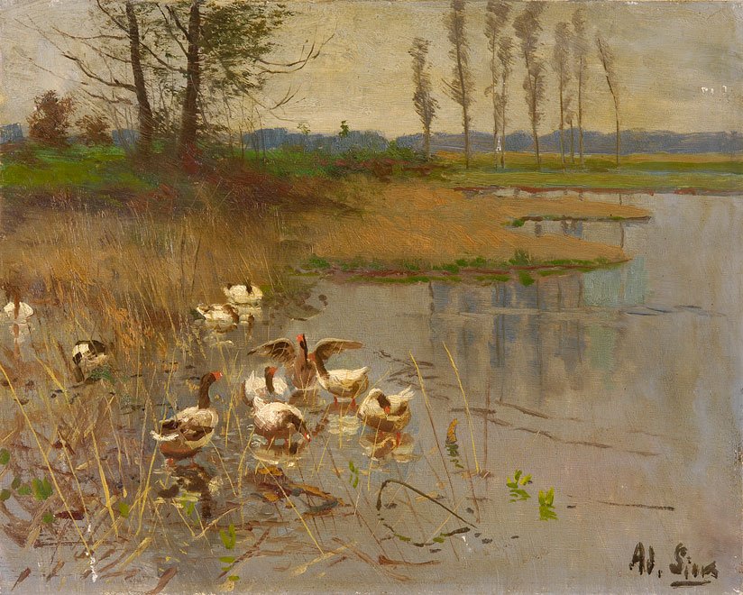 Seascape med gås af Adolf Lins