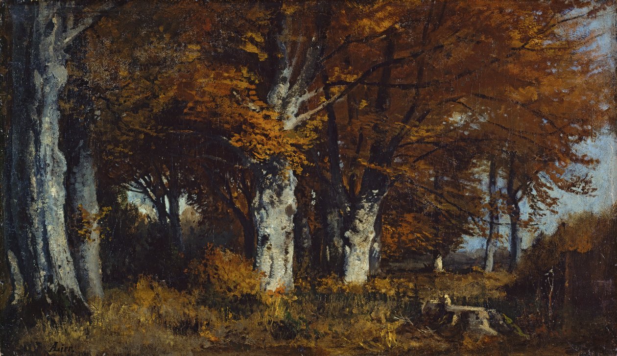 Bøgeskov om efteråret af Adolf Heinrich Lier