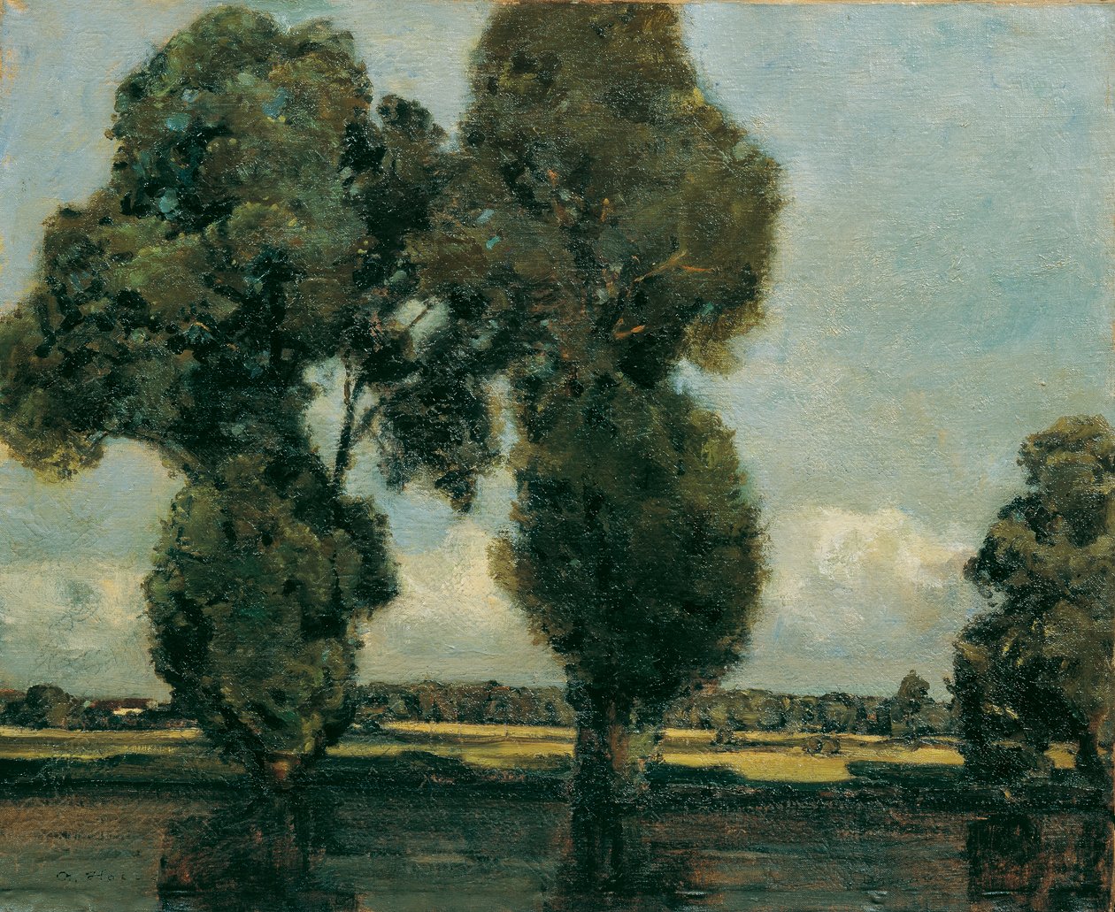 hvide poppel af Adolf Holzel