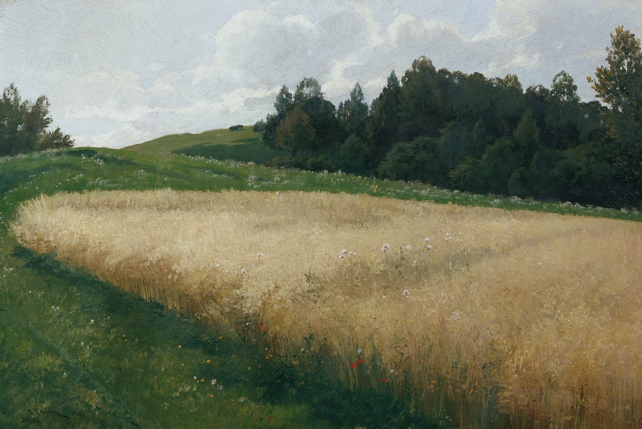 Havremarken af Adolf Kaufmann