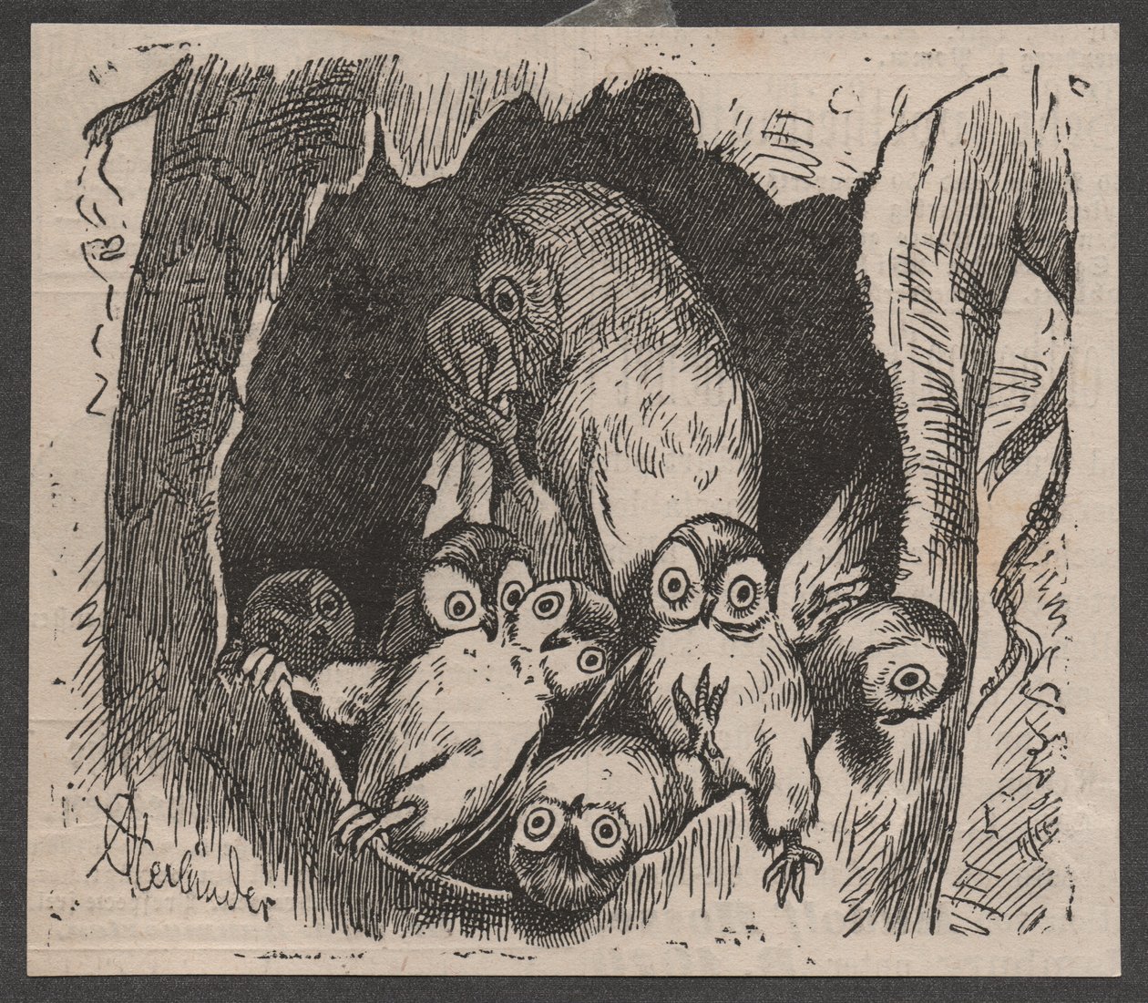 Ugle med unger, ca. 1890 (quickpress print) af Adolf Oberländer